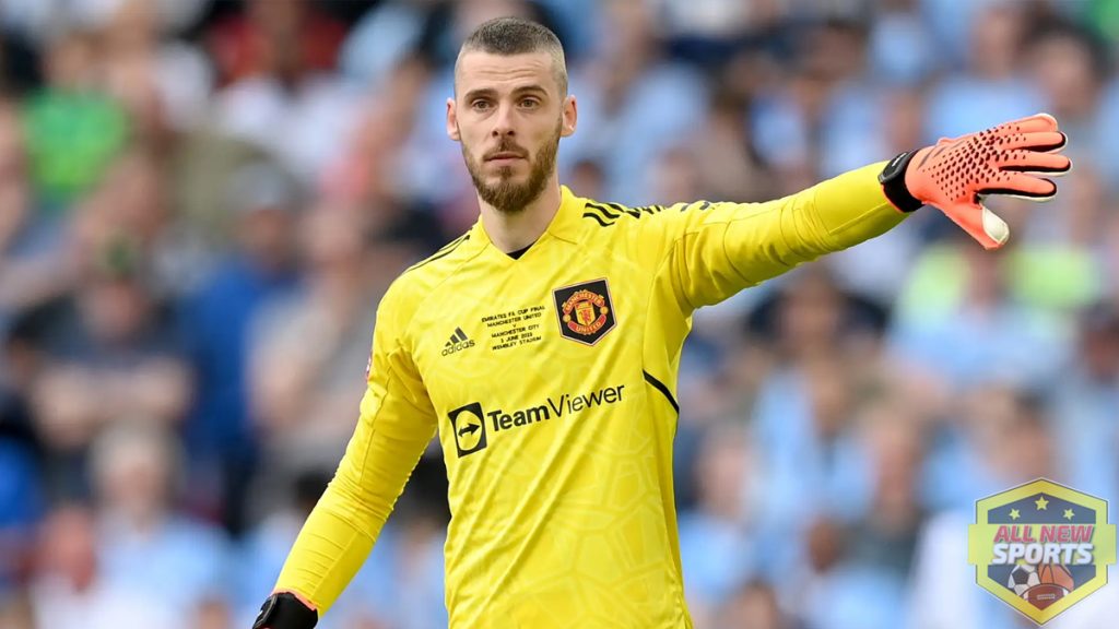 Perjalanan Karier David De Gea